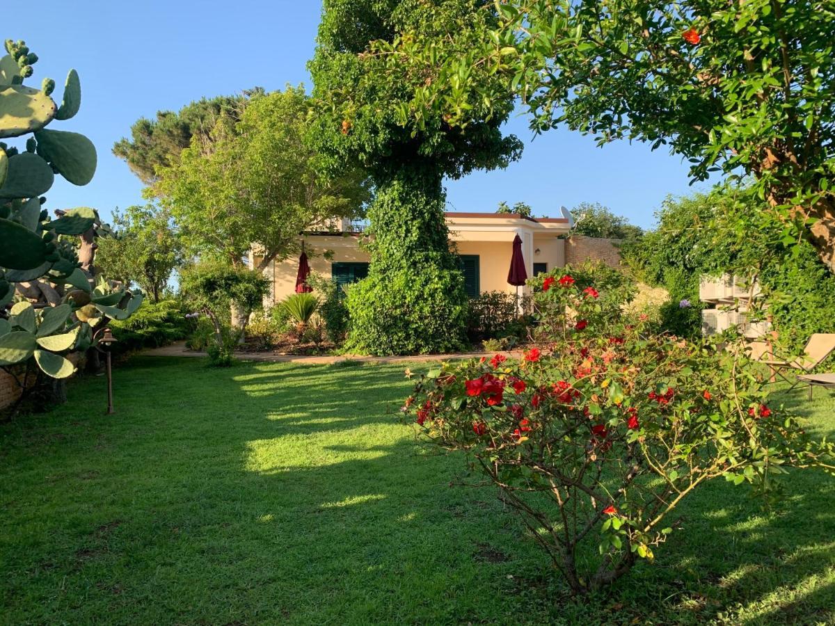 Villino Eleonora Bed and Breakfast Parghelia Εξωτερικό φωτογραφία