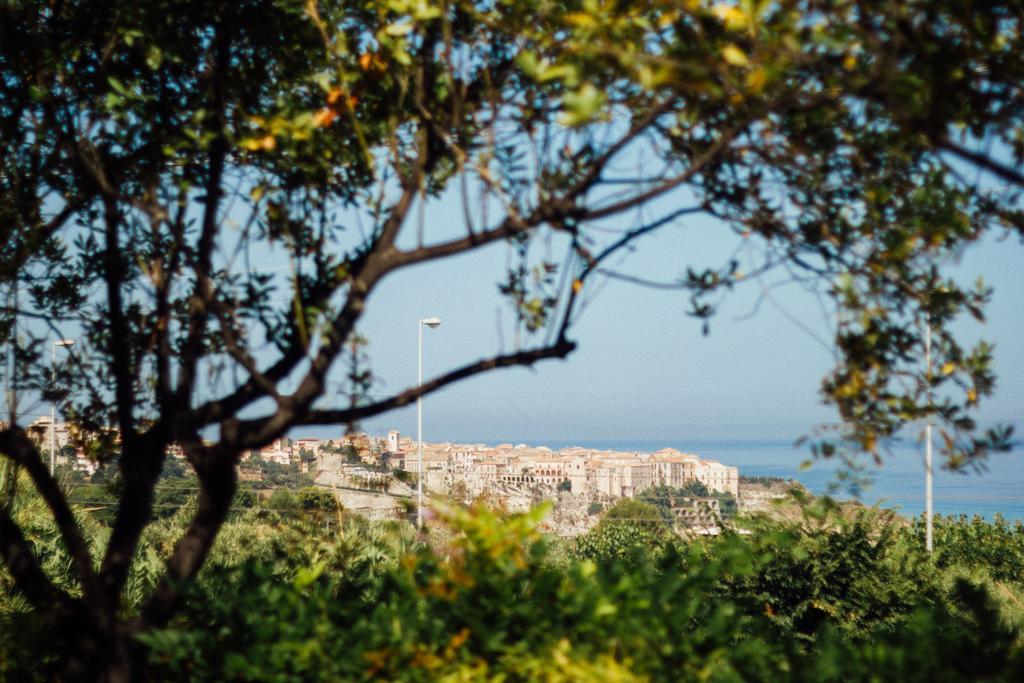 Villino Eleonora Bed and Breakfast Parghelia Εξωτερικό φωτογραφία