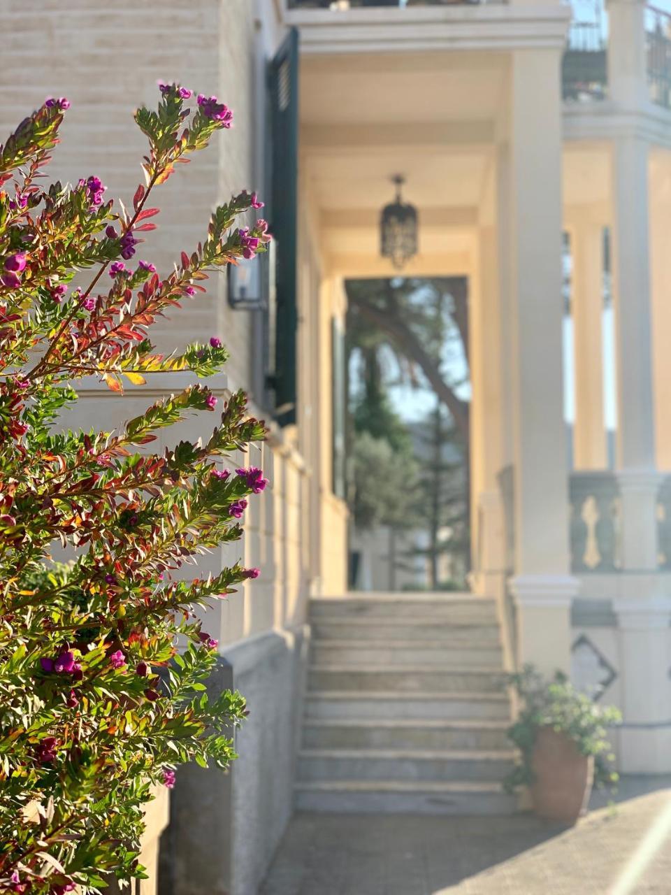 Villino Eleonora Bed and Breakfast Parghelia Εξωτερικό φωτογραφία