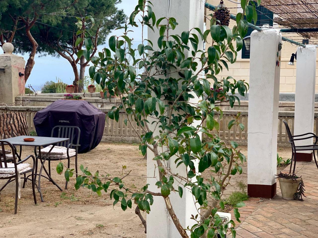 Villino Eleonora Bed and Breakfast Parghelia Εξωτερικό φωτογραφία
